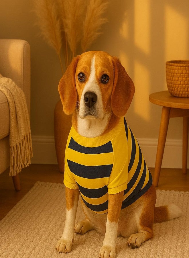 Zigly Lifestyle Bumble Stripe Dog Sweatshirt | Soft Cotton Pullover for Dogs | Warm, Lightweight, Easy-Wear Pet Clothing for Small to Large Breeds Size Small - Image 2